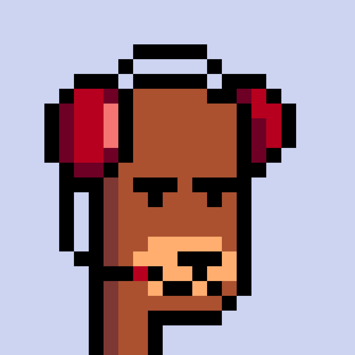 BearPunks