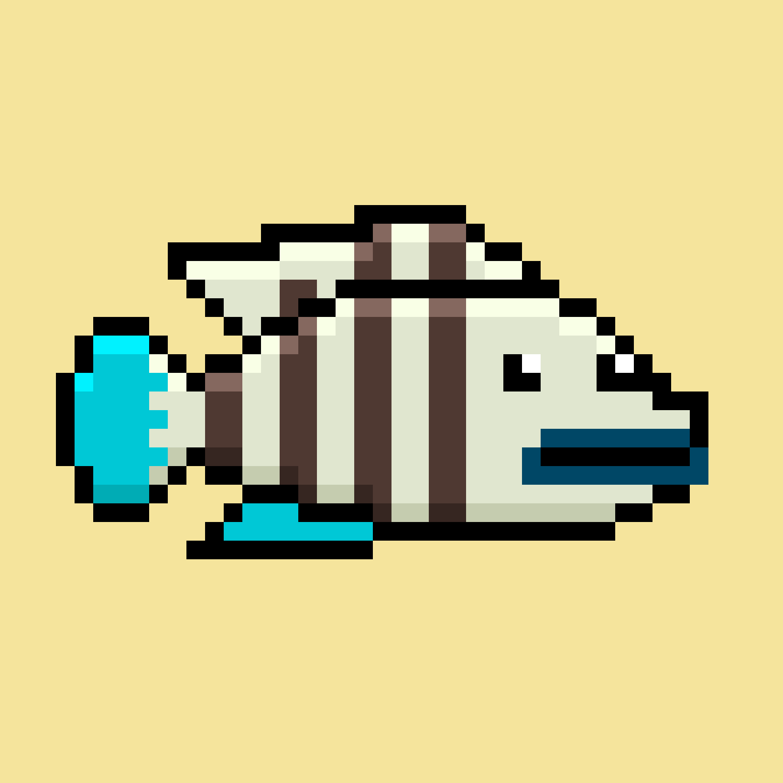 CryptoFish