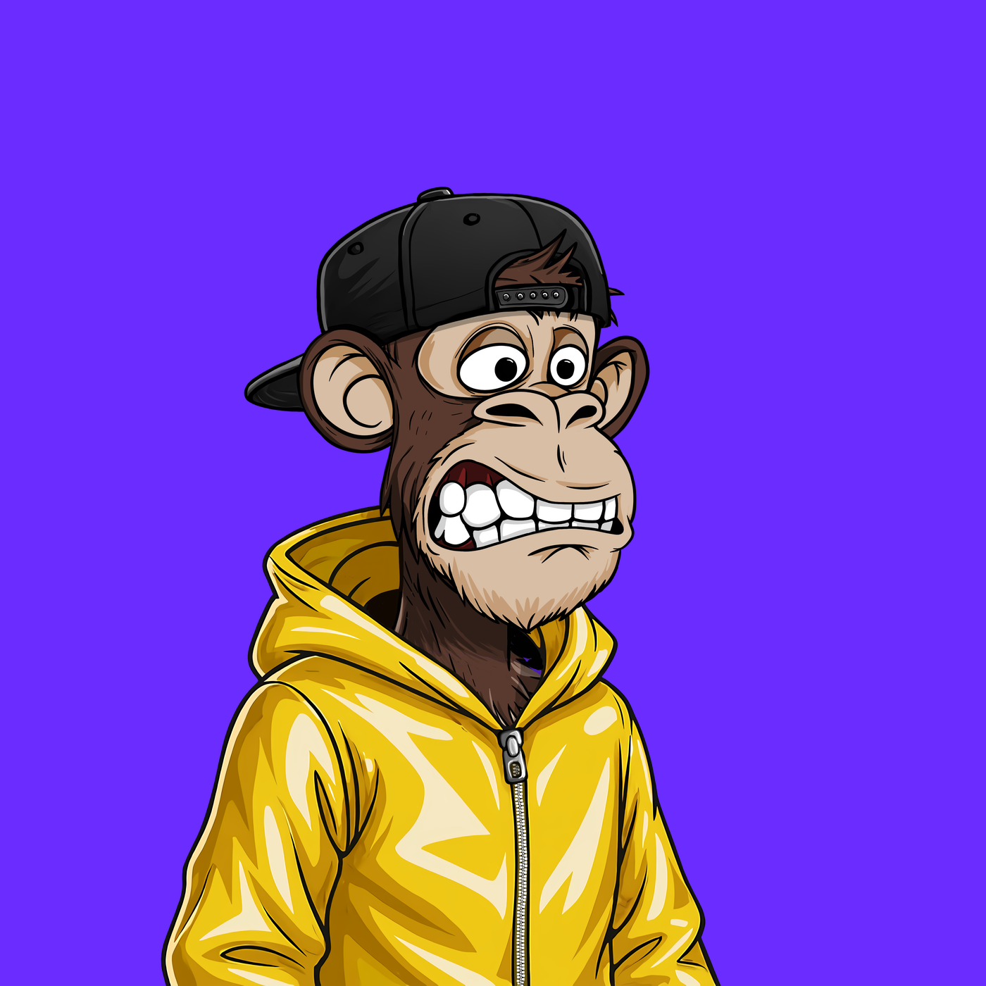 Sloppy Ape Yacht Club