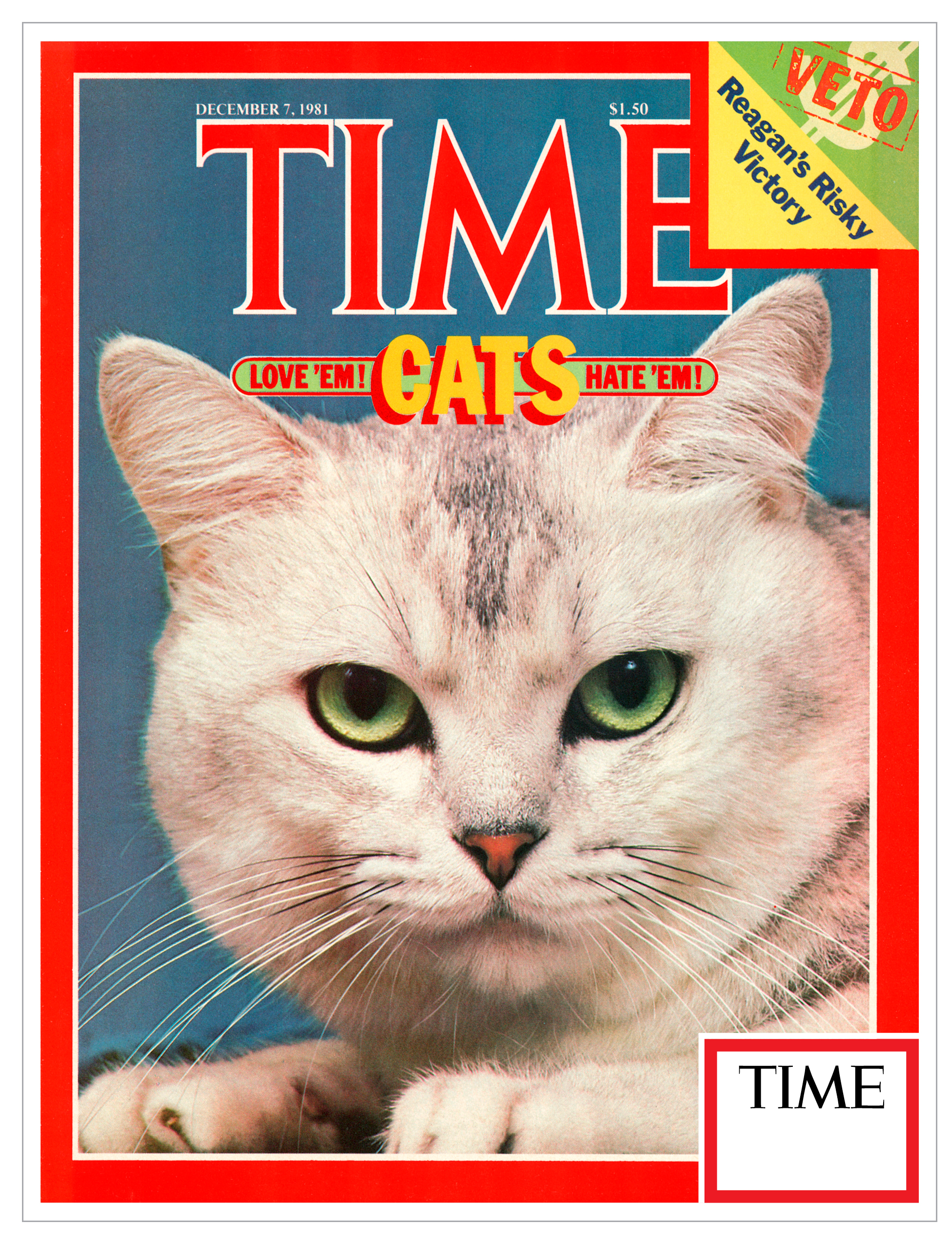 TimeCatsLoveEmHateEm #0