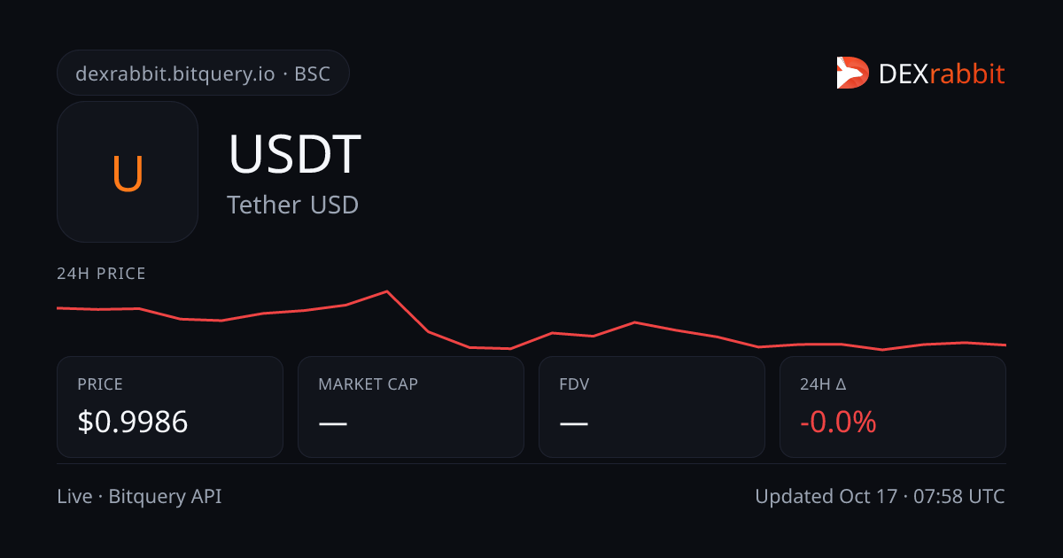 USDT (Tether USD) Price & Chart | BSC DEX Analytics | DEXrabbit